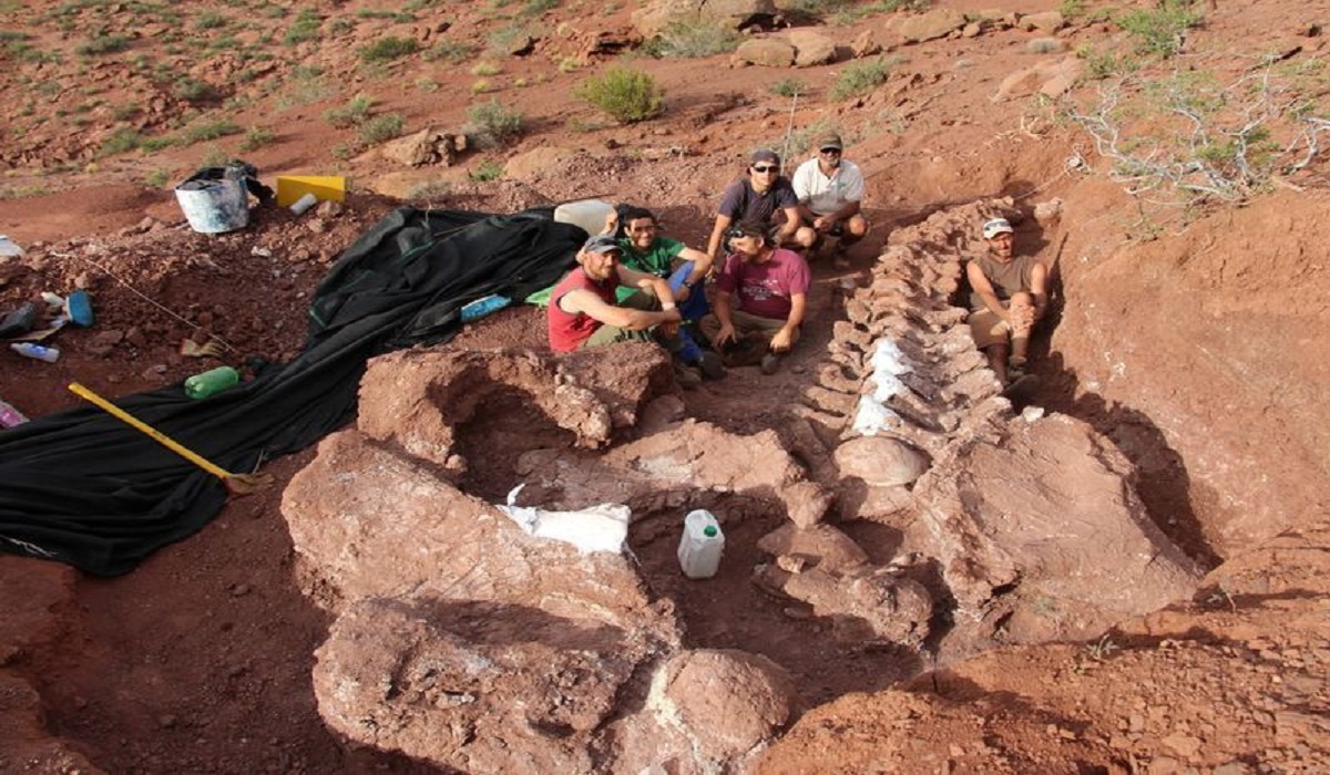 Fossils of oldest member of huge dinosaur group found in Argentina